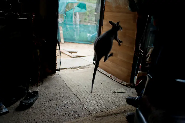 3a7906dc9d2b18ebb1ccb37fcae44421