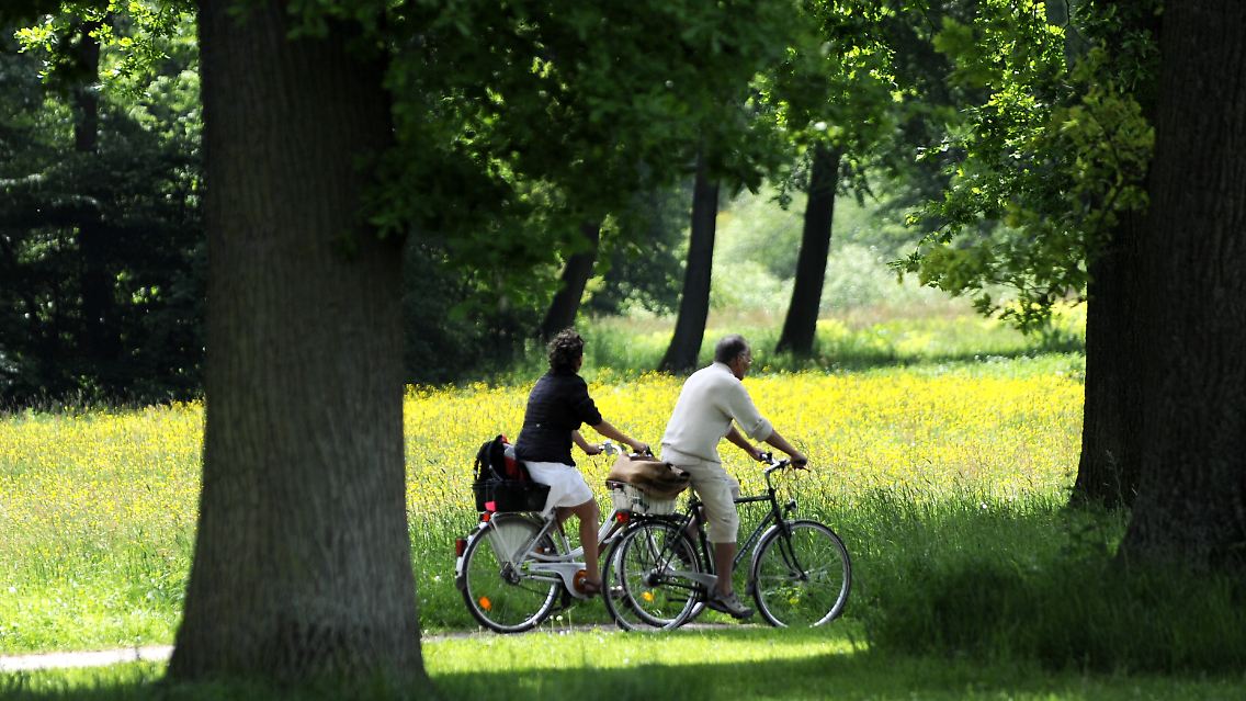 Und gesund ist es auch. (Jenischpark in Hamburg)