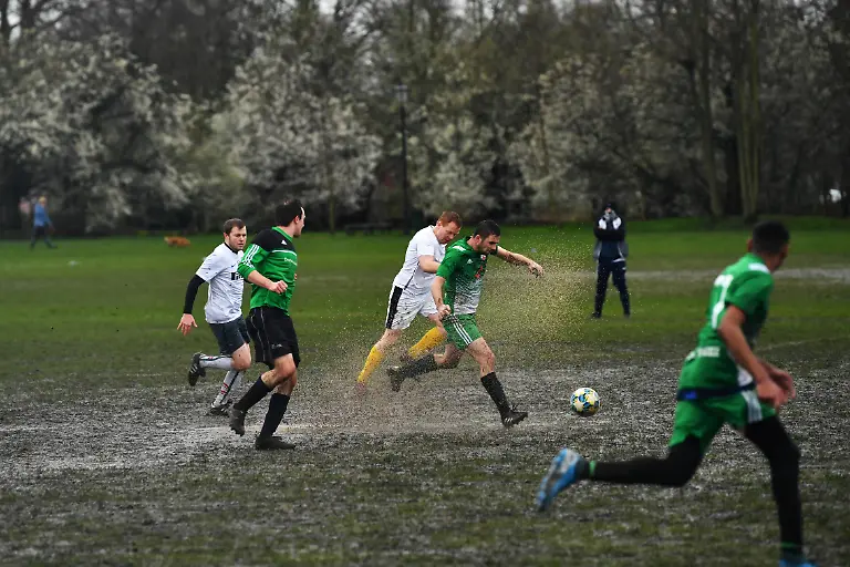 567639c50a545bdd0325f331bd72866d