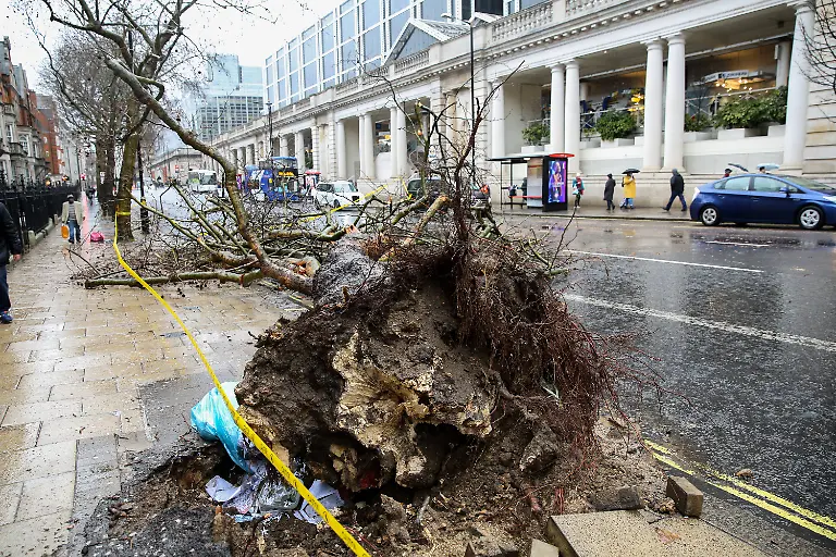 a01823237f77a0821c4bfdf82ef1e602