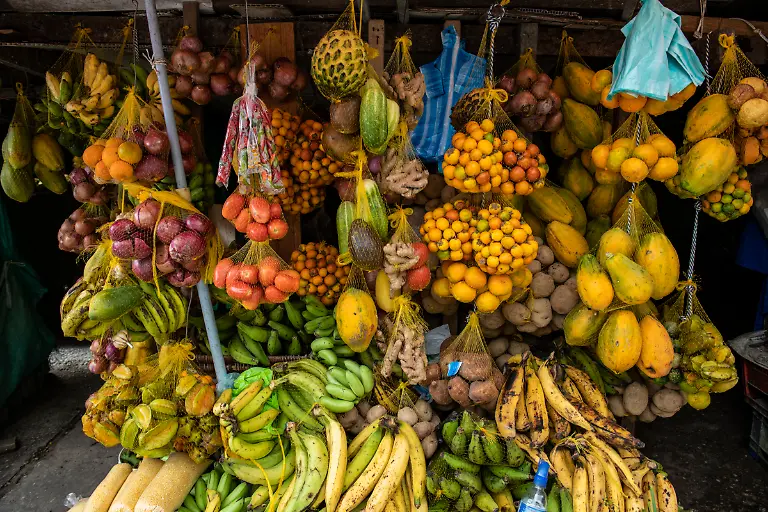 Bild-38-von-40-PC-2018-04-27-007