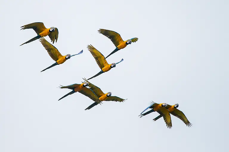 Bild-16-von-40-PC-2018-05-07-001