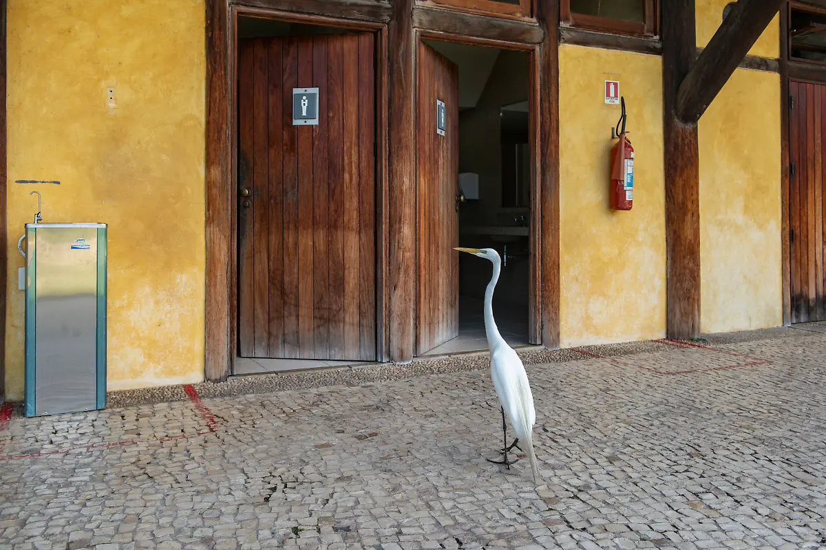 Bild-09-von-40-PC-2018-05-11-006