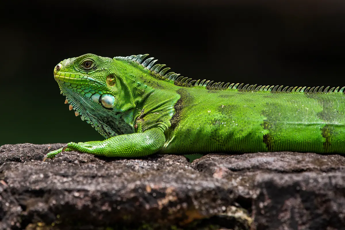 Bild-03-von-40-2016-03-24-006