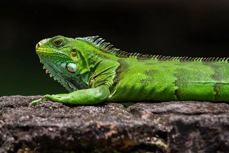 Bild-03-von-40-2016-03-24-006