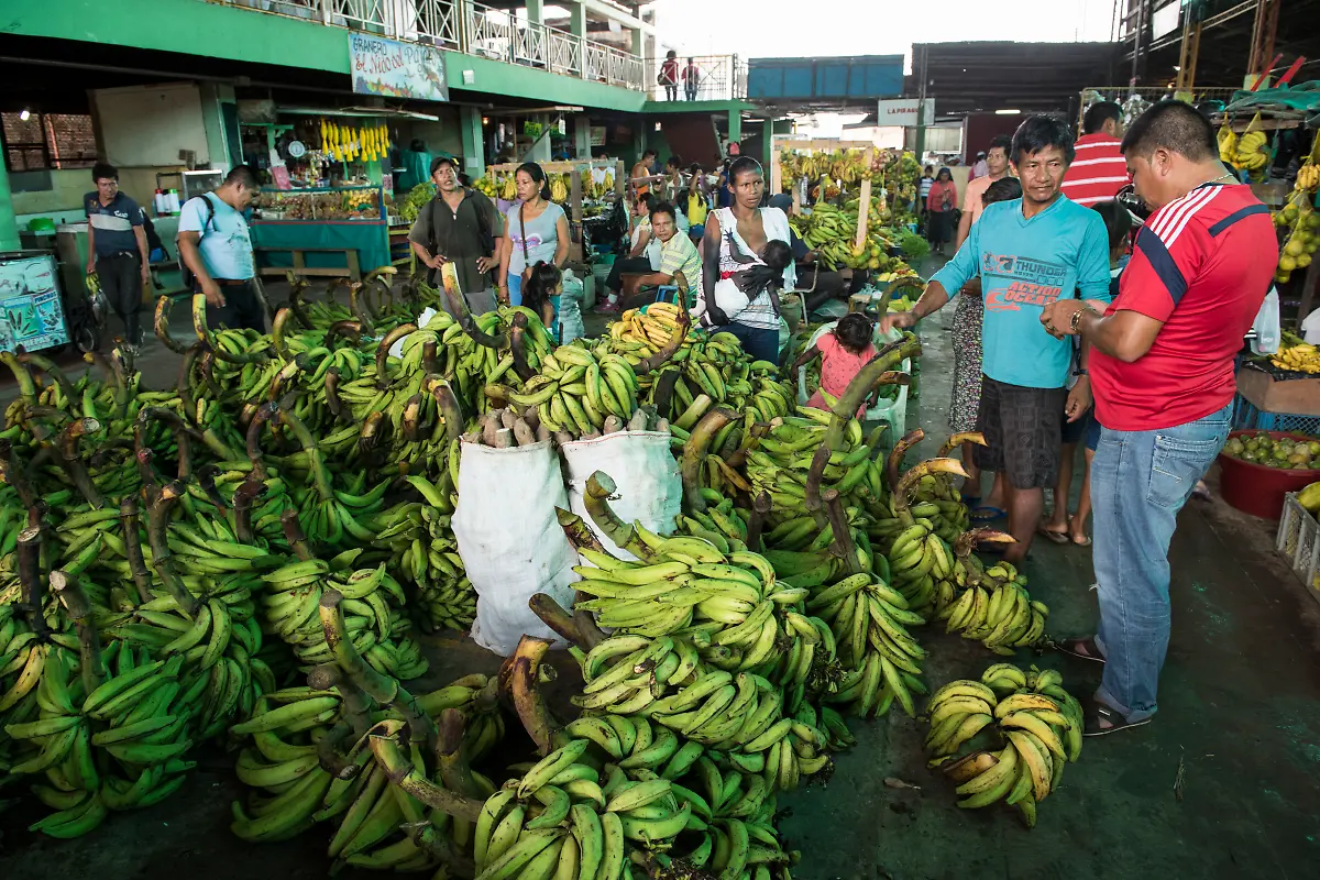 Bild-39-von-40-PC-2015-04-20-002