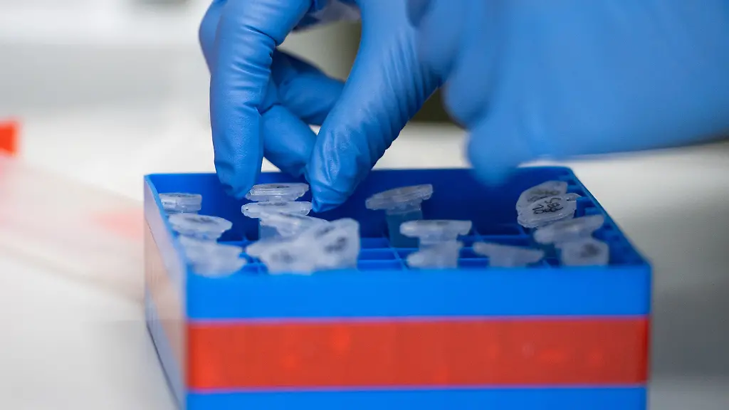 32092638b7ea0efea0a1650903fe133b