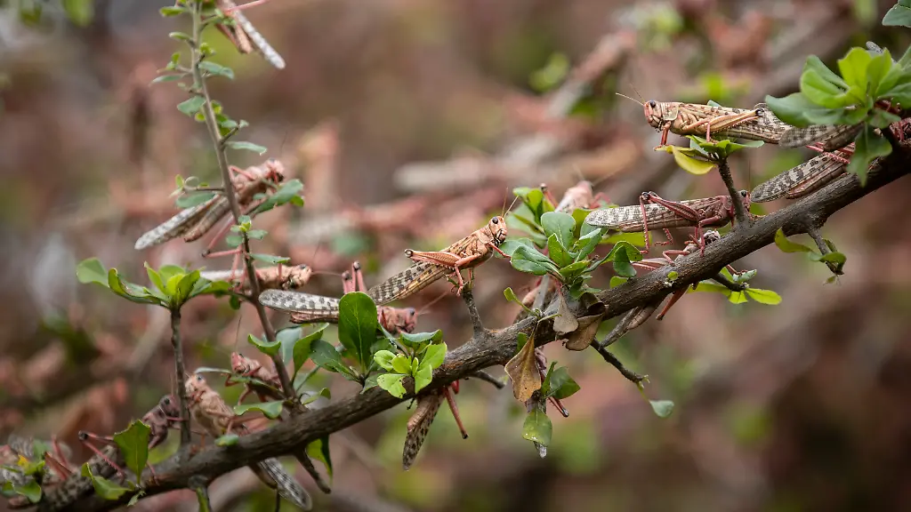 c57d5e56c385320743eae0051cf4b928