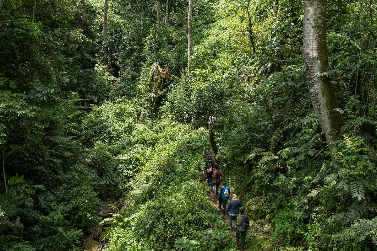 Bild-14-von-40-2019-11-04-053