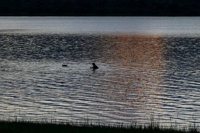 Bild-9-von-40-2019-11-01-081