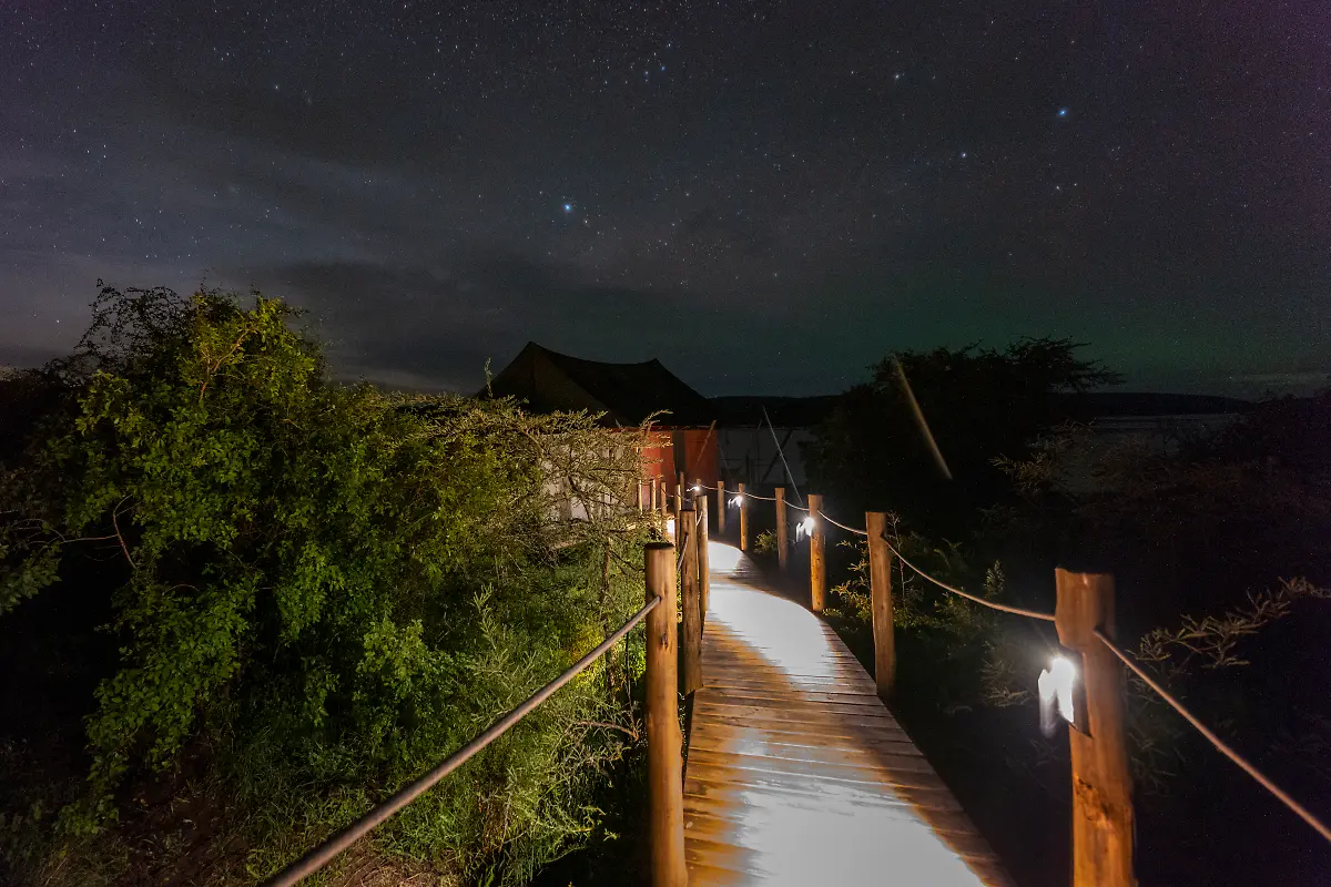 Bild-7-von-40-2019-11-01-093