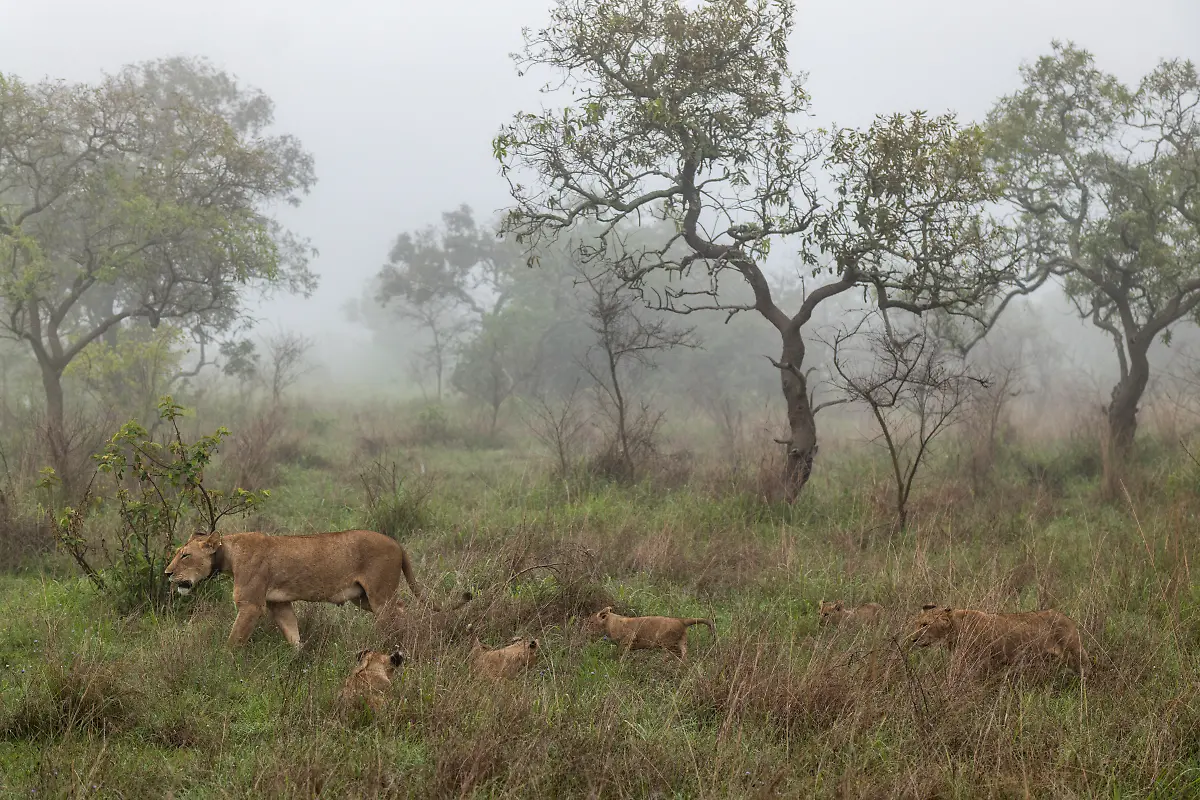 Bild-6-von-40-2019-11-02-015