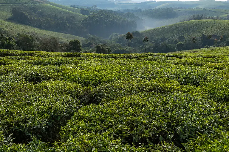 Bild-2-von-40-2019-11-04-028