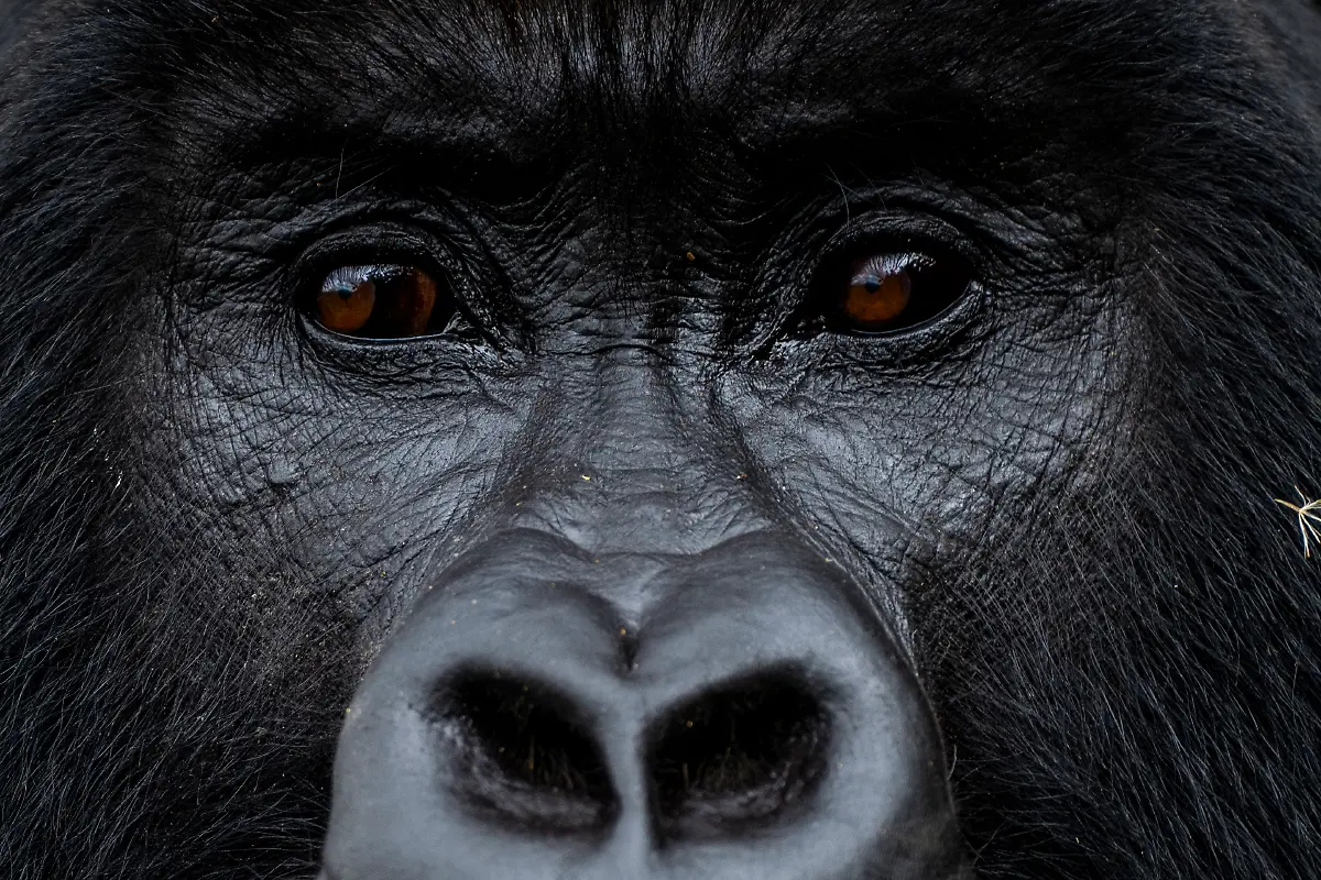 Bild-1-von-40-2019-11-07-059a