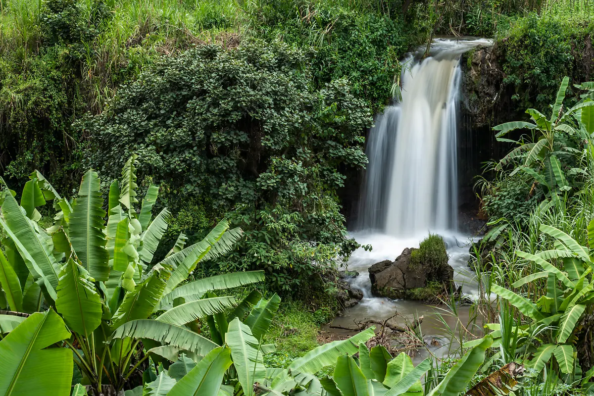 Bild-38-von-40-2019-11-08-060