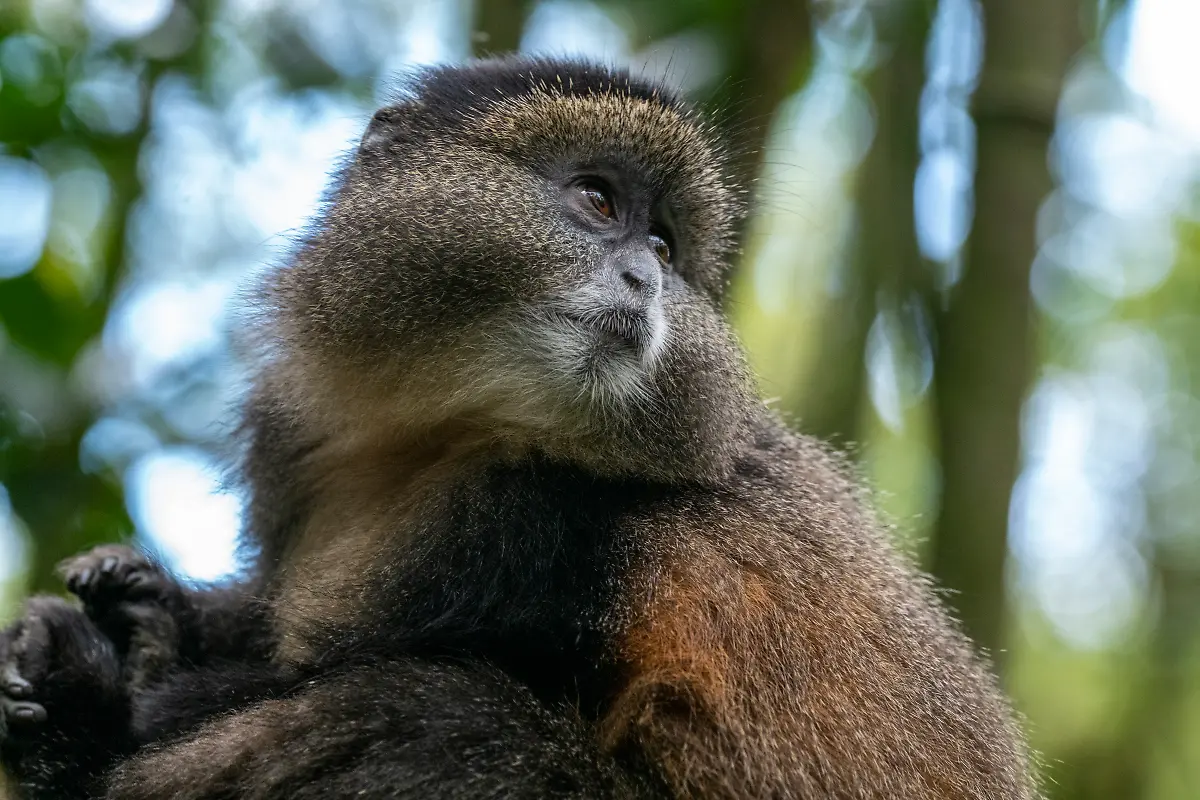 Bild-35-von-40-2019-11-08-032