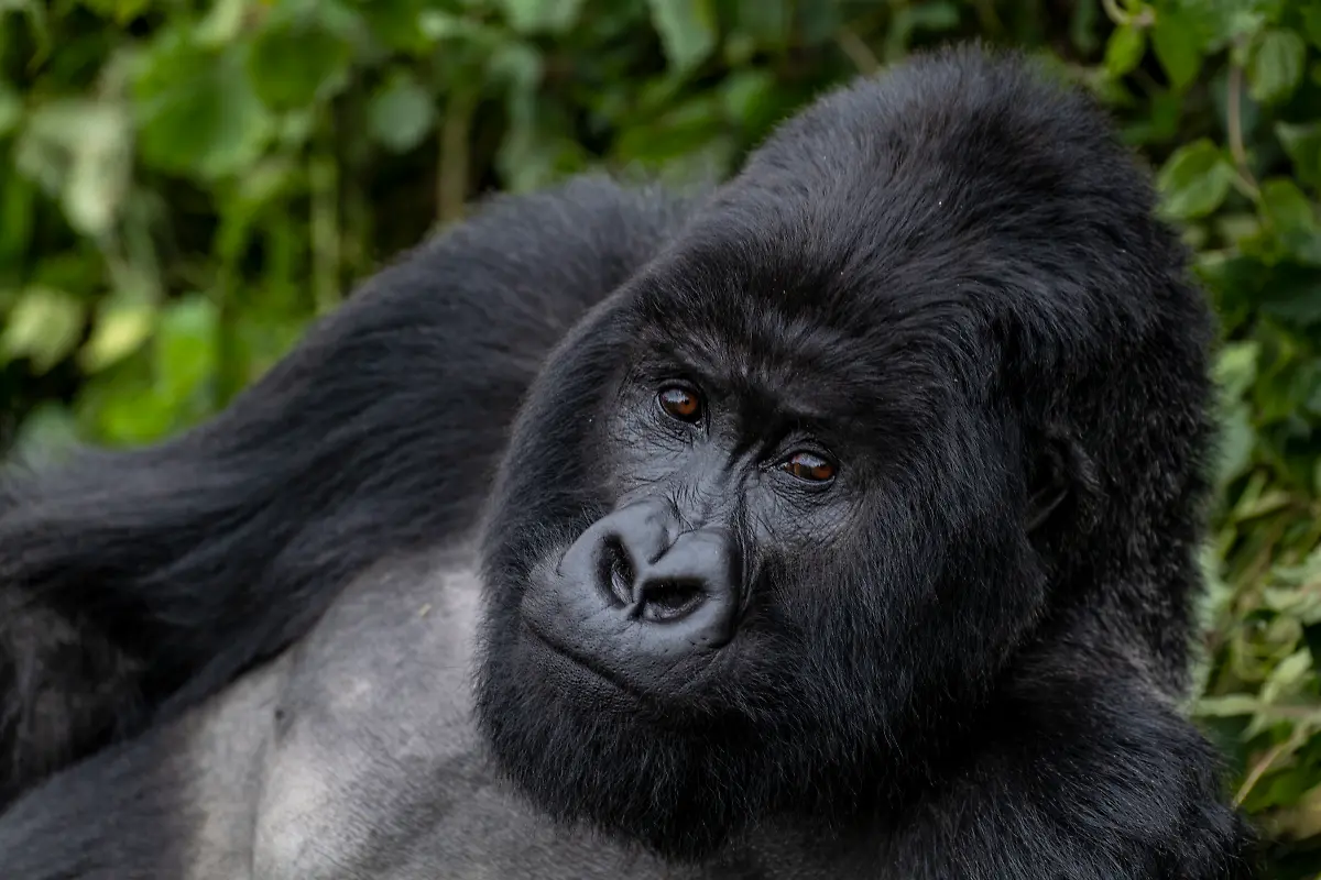 Bild-30-von-40-2019-11-07-102