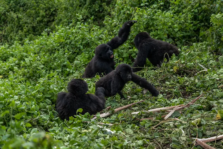 Bild-29-von-40-2019-11-07-091