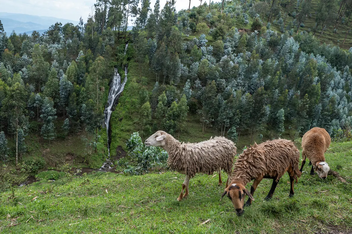 Bild-26-von-40-2019-11-06-066