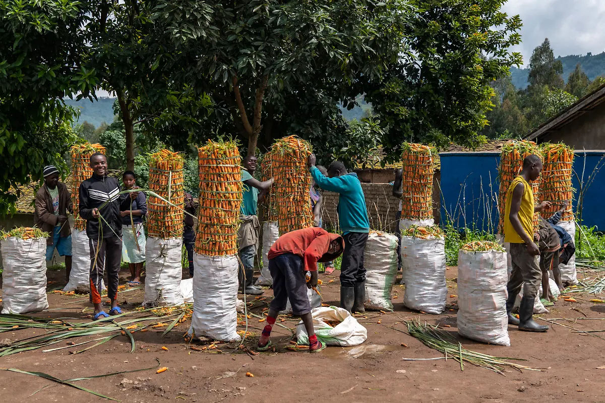 Bild-25-von-40-2019-11-06-065