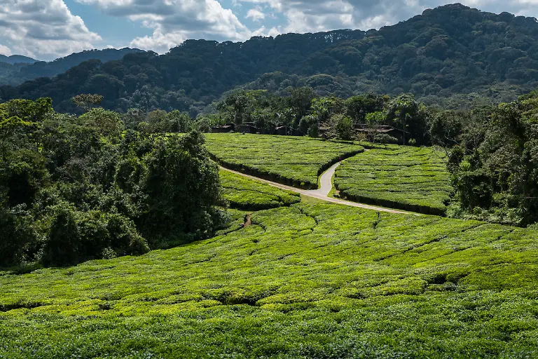 Bild-17-von-40-2019-11-05-027