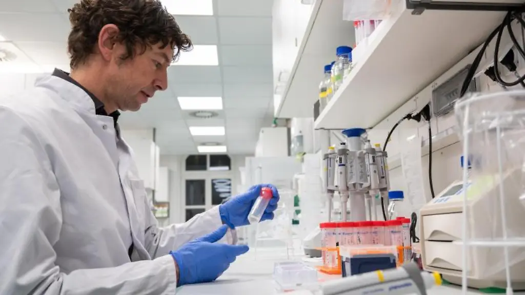 Im-Labor-werden-Proben-untersucht