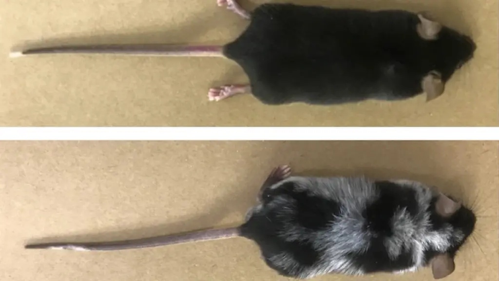 ACHTUNG-Frei-nur-zur-redaktionellen-Verwendung-im-Zusammenhang-mit-der-Berichterstattung-ueber-die-Studie