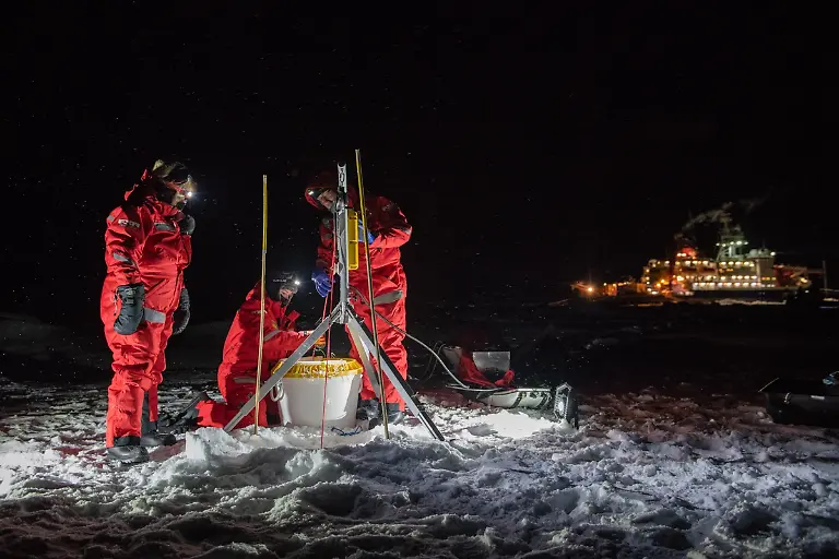 20191125-MOSAiC1-EstherHorvath-small