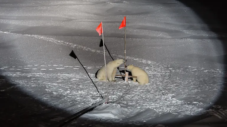 20191010-MOSAiCLeg1-StefanHendricks-027