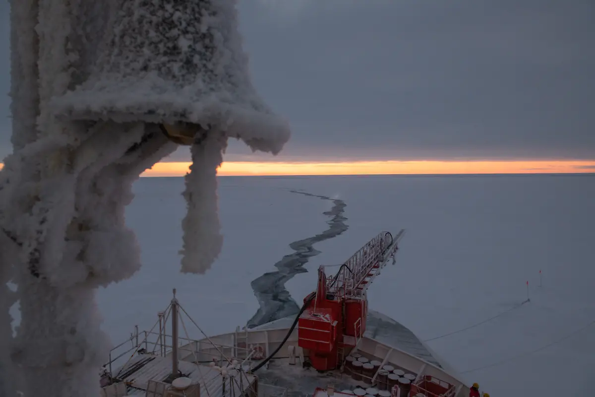 20191010-MOSAiCLeg1-EstherHorvath-379