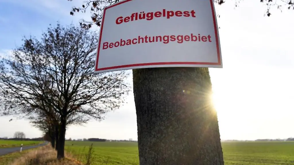Ein-Schild-mit-der-Aufschrift-Gefluegelpest-Beobachtungsgebiet-steht-an-einer-Zufahrtsstrasse