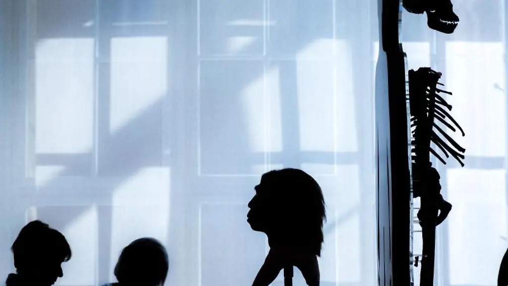 Zwei-Besucherinnen-l-stehen-im-Universalmuseum-in-Darmstadt-neben-den-Koepfen-von-zwei-Urmenschen