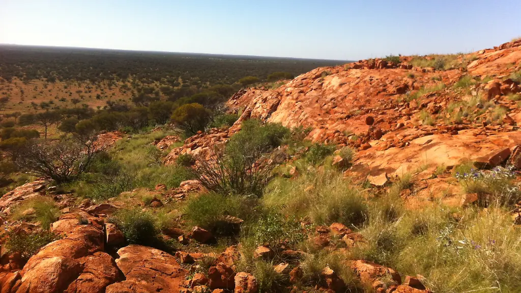 urn-binary-dpa-com-20090101-200121-99-560487-FILED