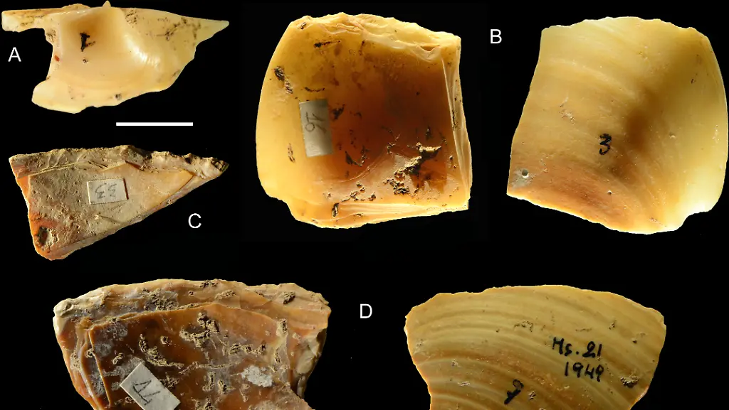 journal-pone-0226690-g007