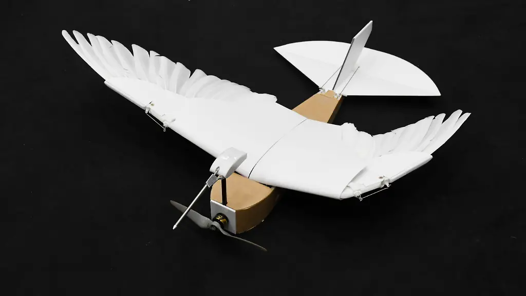 ACHTUNG-Nur-zur-redaktionellen-Verwendung-im-Zusammenhang-mit-der-aktuellen-Berichterstattung