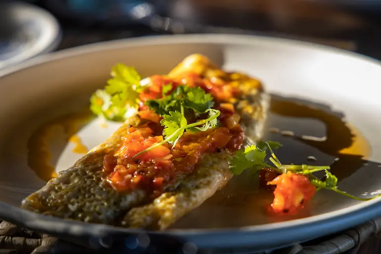 Bild-14-von-40-2019-06-19-018