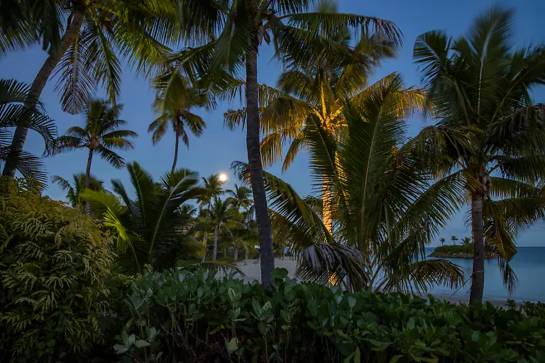 Bild-11-von-40-2019-06-18-011