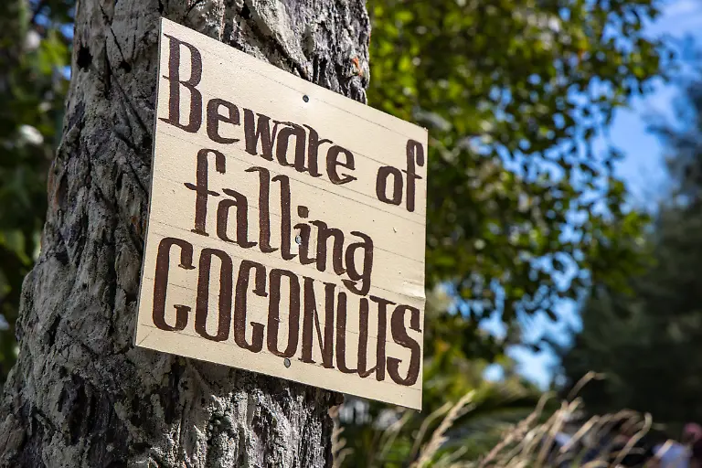 Bild-32-von-40-2019-06-20-038