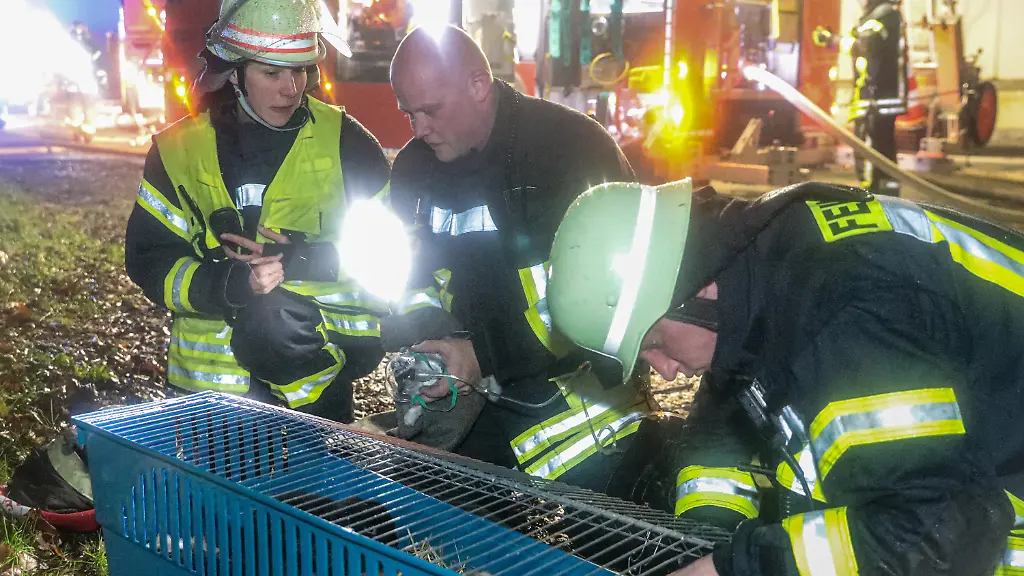 c2644226246be9a51b08a99feddab7b3