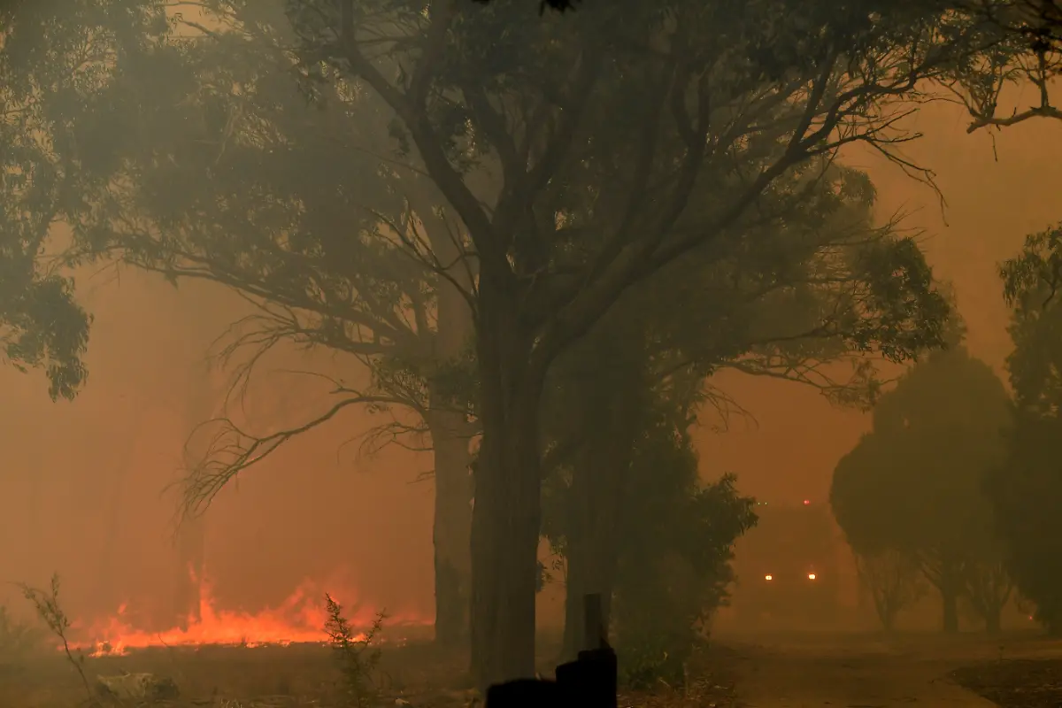 fb334cbbecabadc96c8f085d8b83d403