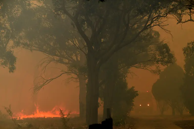 fb334cbbecabadc96c8f085d8b83d403