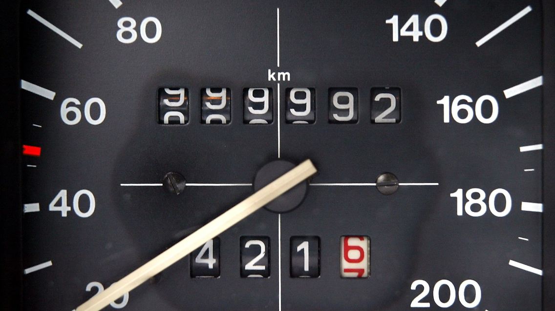 7473699.jpg