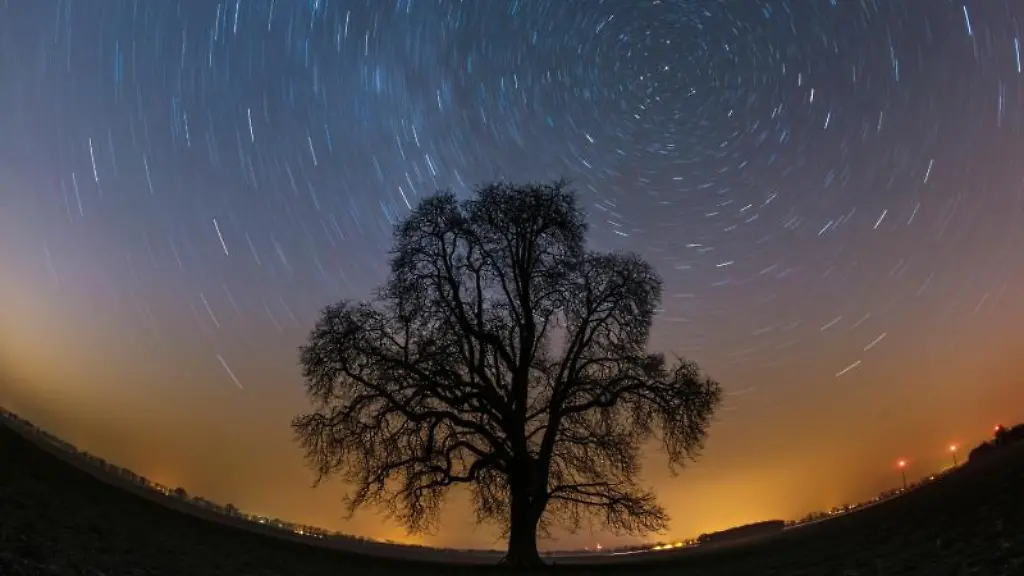 Sternenhimmel-ueber-einem-Feld-nahe-Lietzen-im-Landkreis-Maerkisch-Oderland