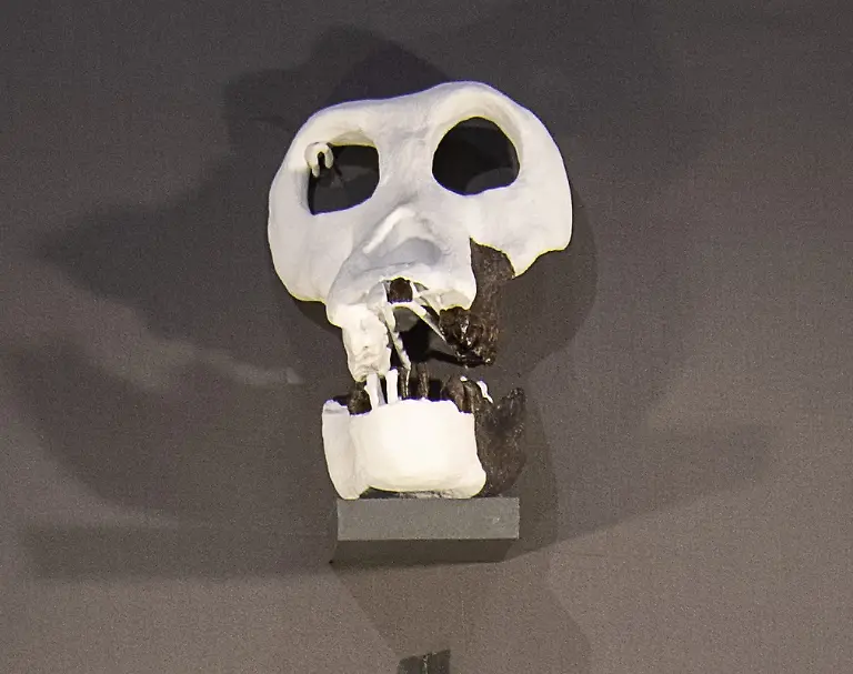 urn-binary-dpa-com-20090101-191106-90-019605-FILED