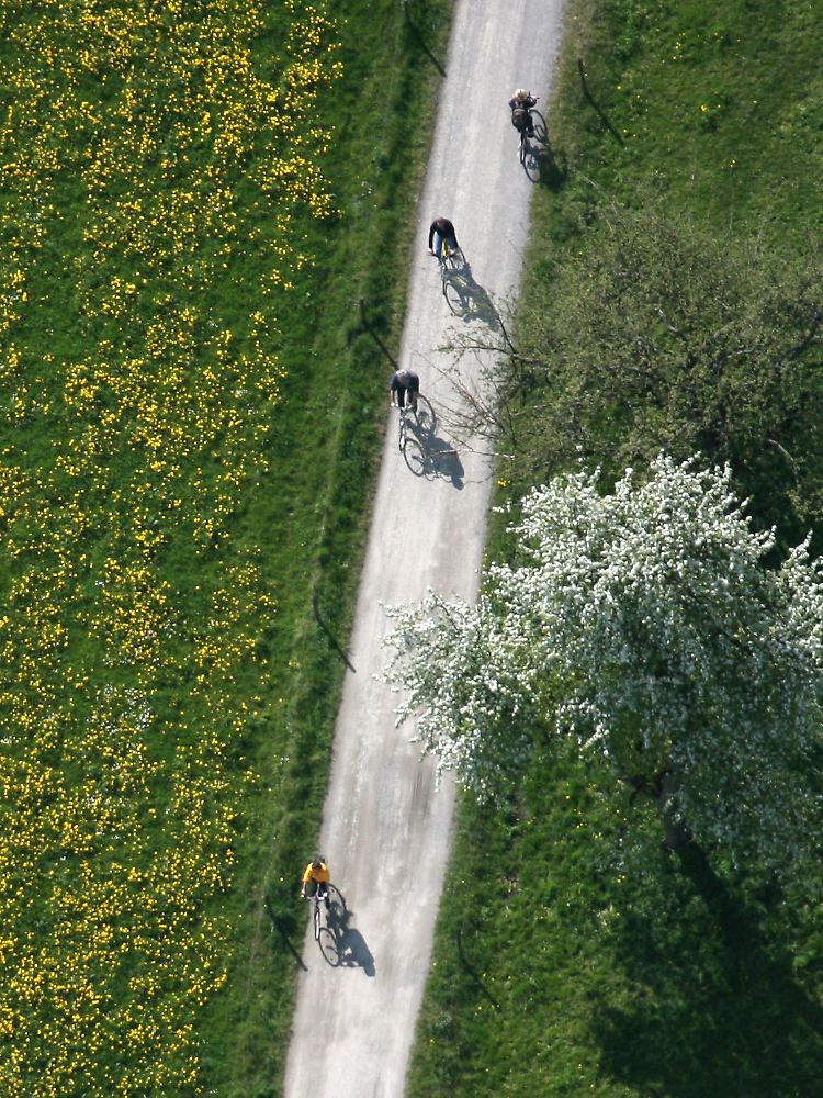 Auf dem Rad kann man die Schönheit der Landschaft besser genießen als bspw. im Auto. (bei Langenargen am Bodensee)
