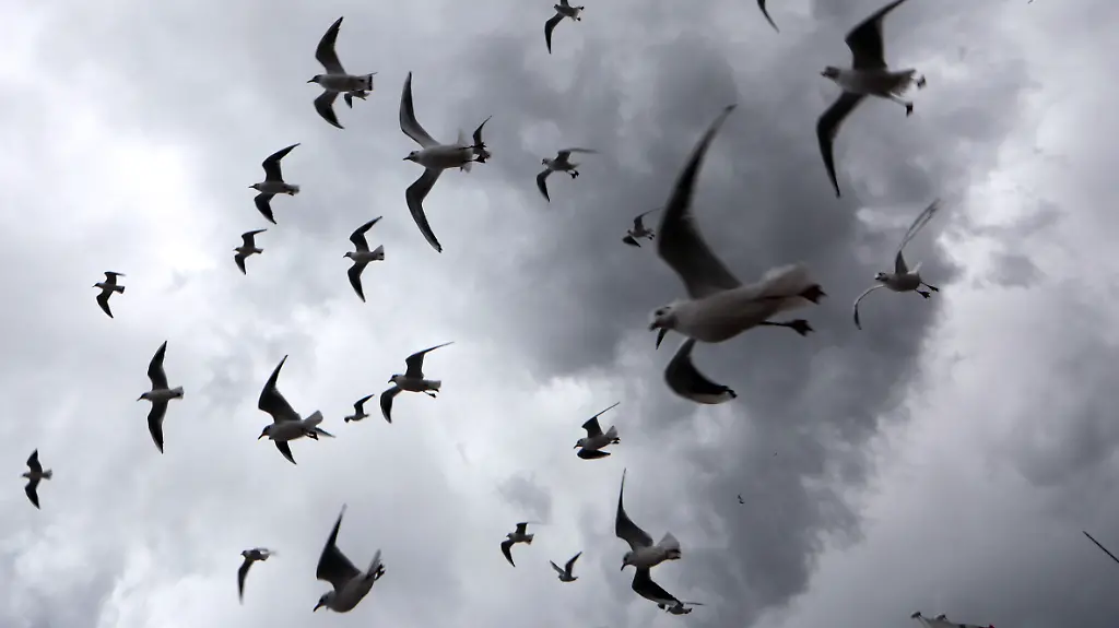 f1fa79db17fccea624c600ec3fd7c78b