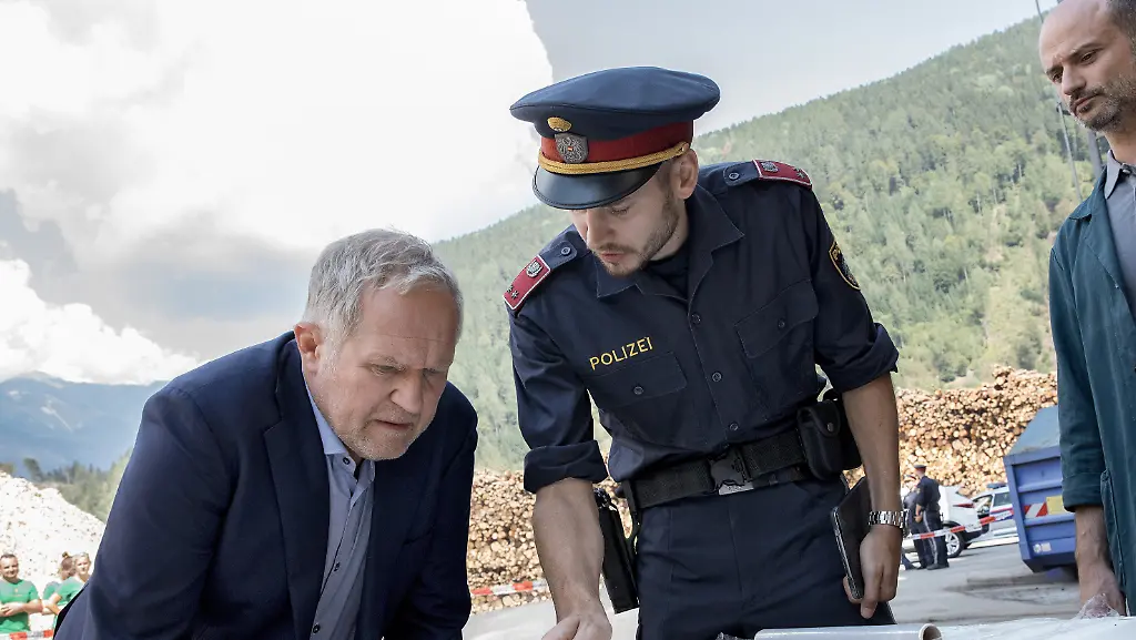 2-Tatort-Baum-faellt