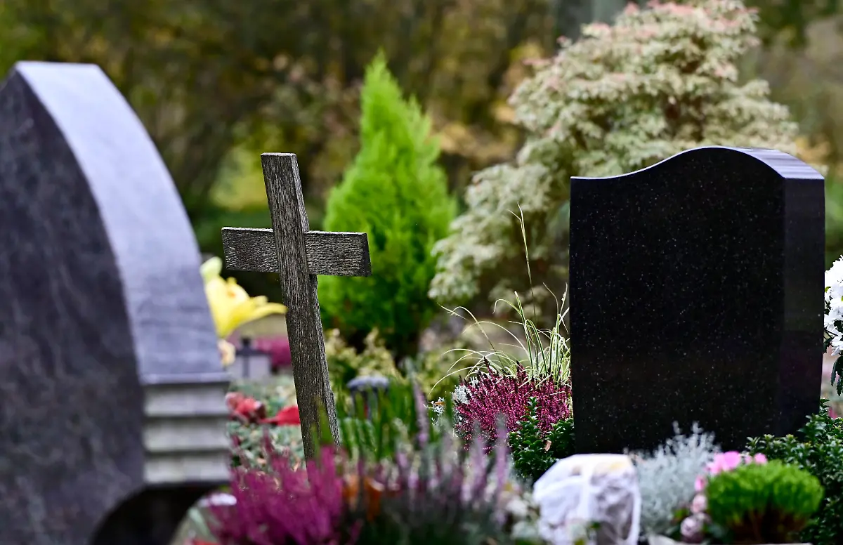 0fb2fd90f35ba52953233fe11941382c