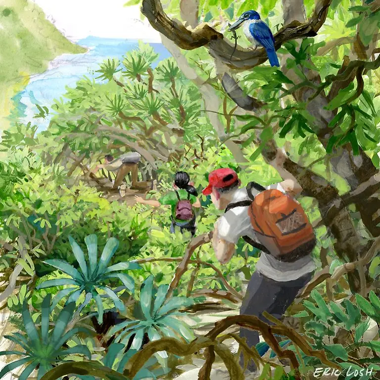 Homepage-Banner-2-Trekking