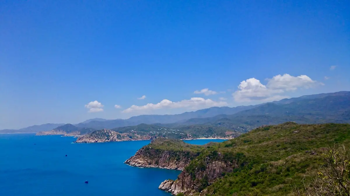 Homepage-Banner-landscape-1